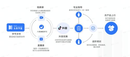 优秀学员 百万播放量 月涨粉6w的他们都有怎样的故事